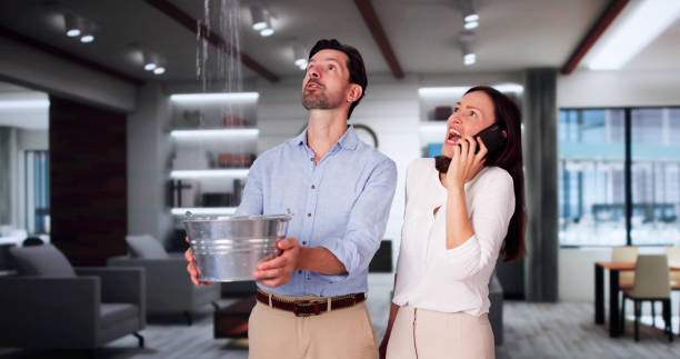 Best Ceiling water damage repair  in Hudson, OH